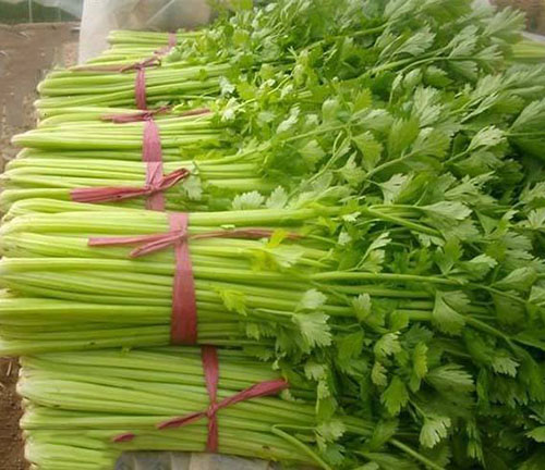 食堂管理 食堂管理
