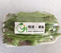 礼品箱样品