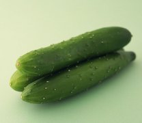 大连食堂配送：高效食材供应链，保障餐